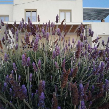 Nesaea Seafront House Villa Parasporos Dış mekan fotoğraf