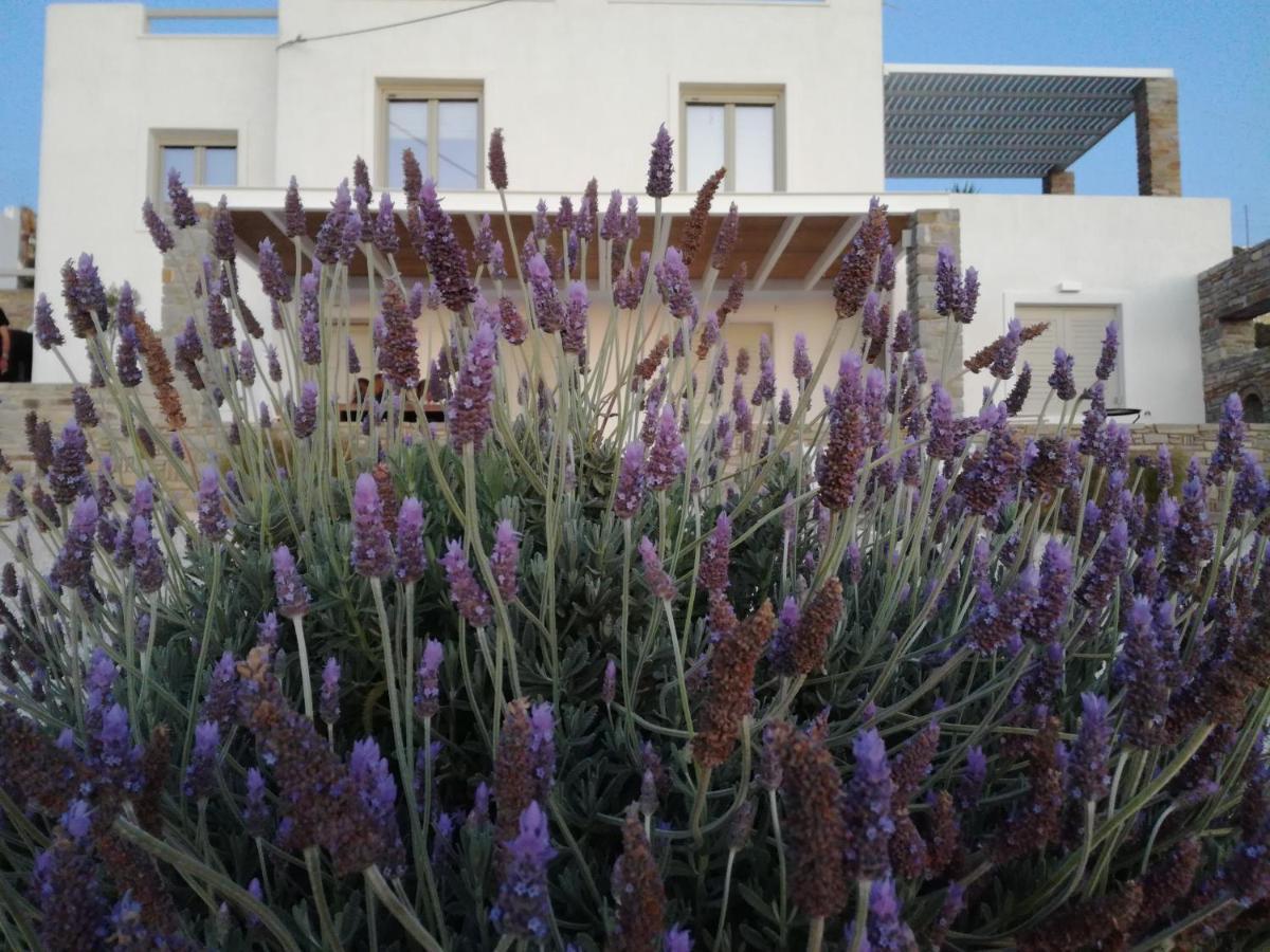 Nesaea Seafront House Villa Parasporos Dış mekan fotoğraf