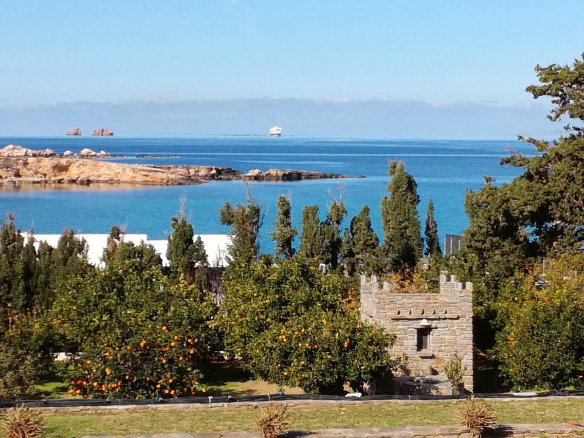 Nesaea Seafront House Villa Parasporos Dış mekan fotoğraf